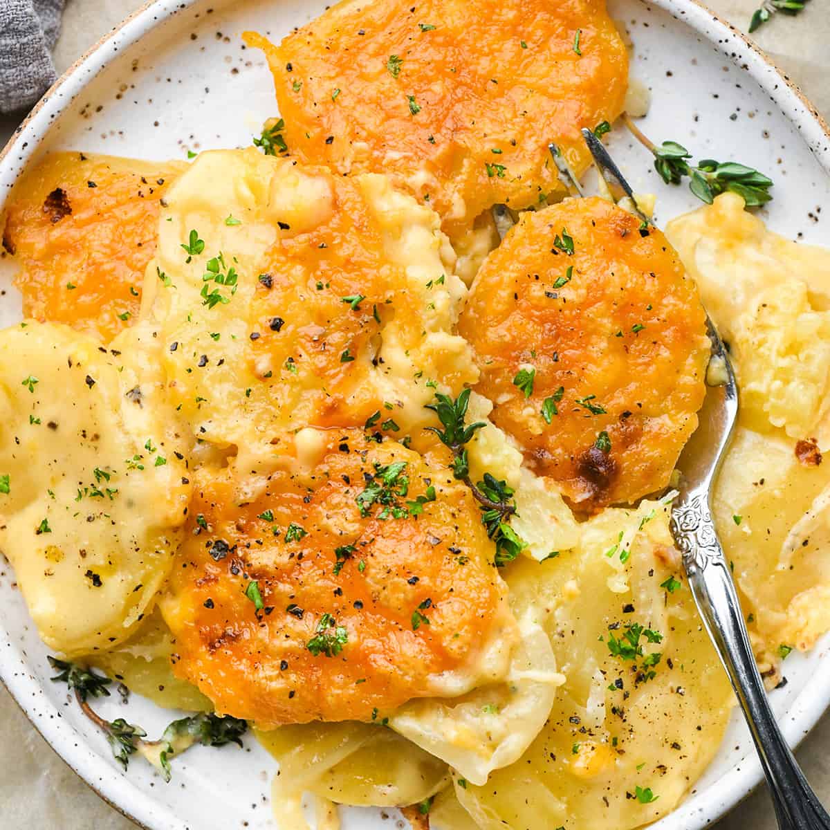 potatoes au gratin on a plate with a fork