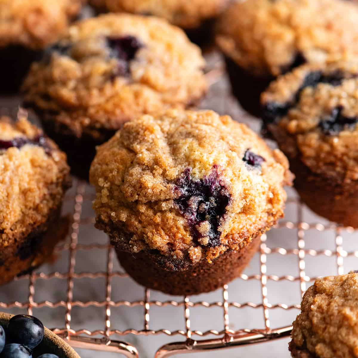 8 blueberry  muffins on a wire cooling rack