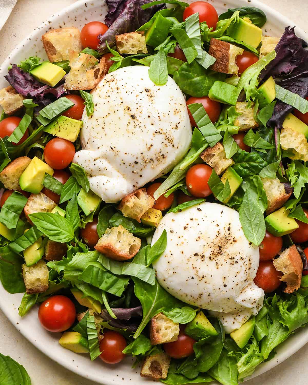 burrata salad assembled on a large serving plate
