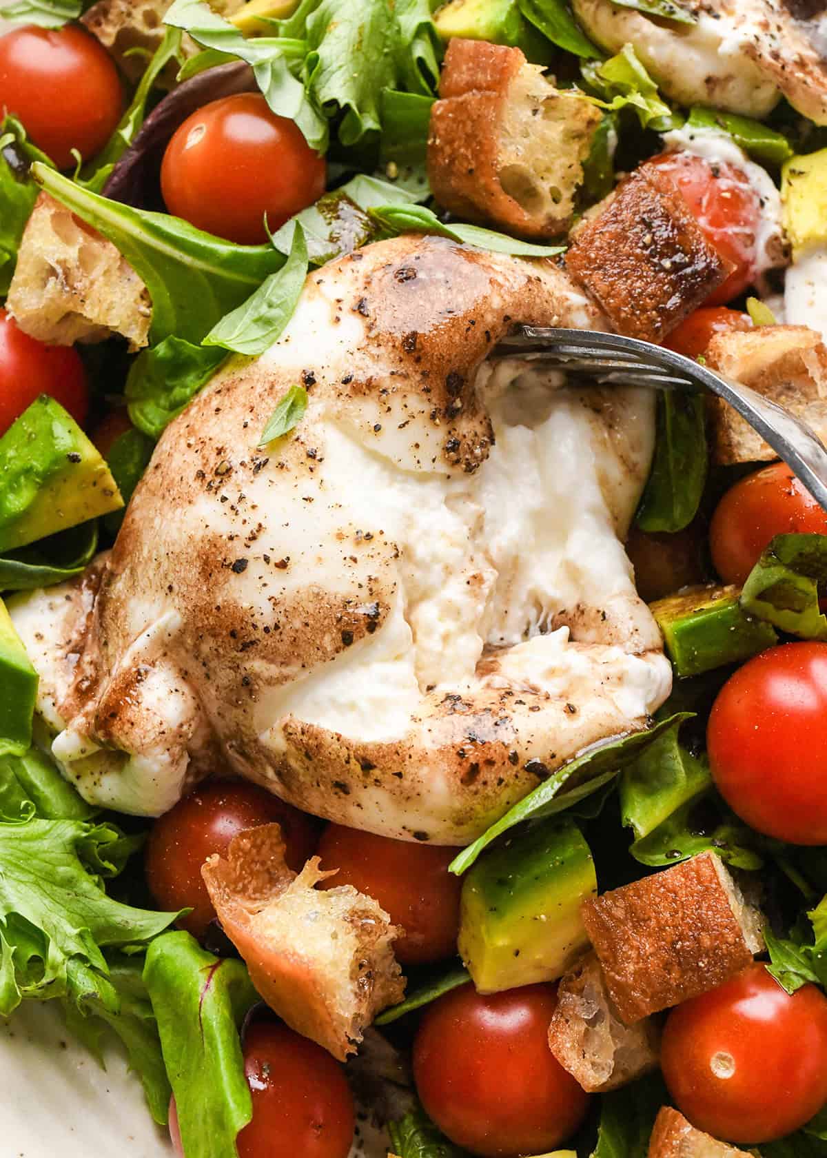 a fork opening a piece of burrata cheese on top of a burrata salad 