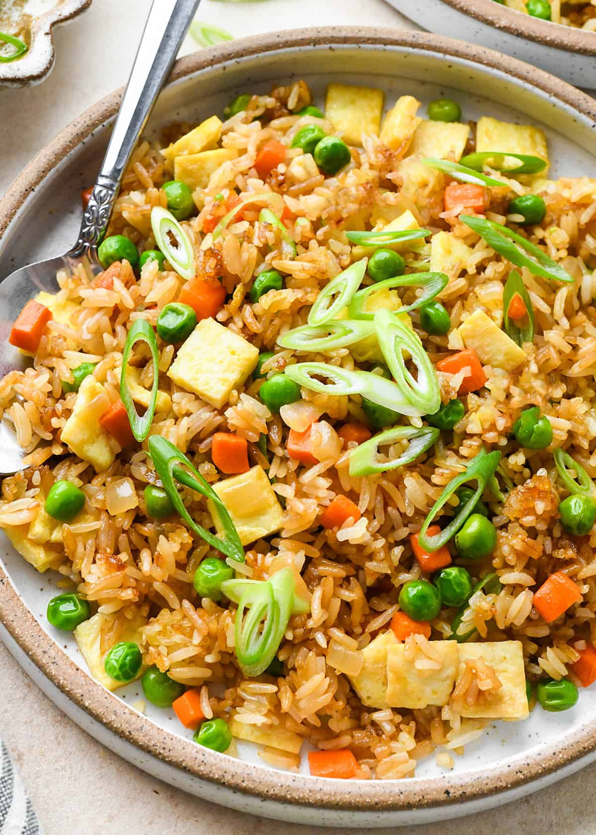 Easy Fried Rice Recipe on a plate garnished with green onions 