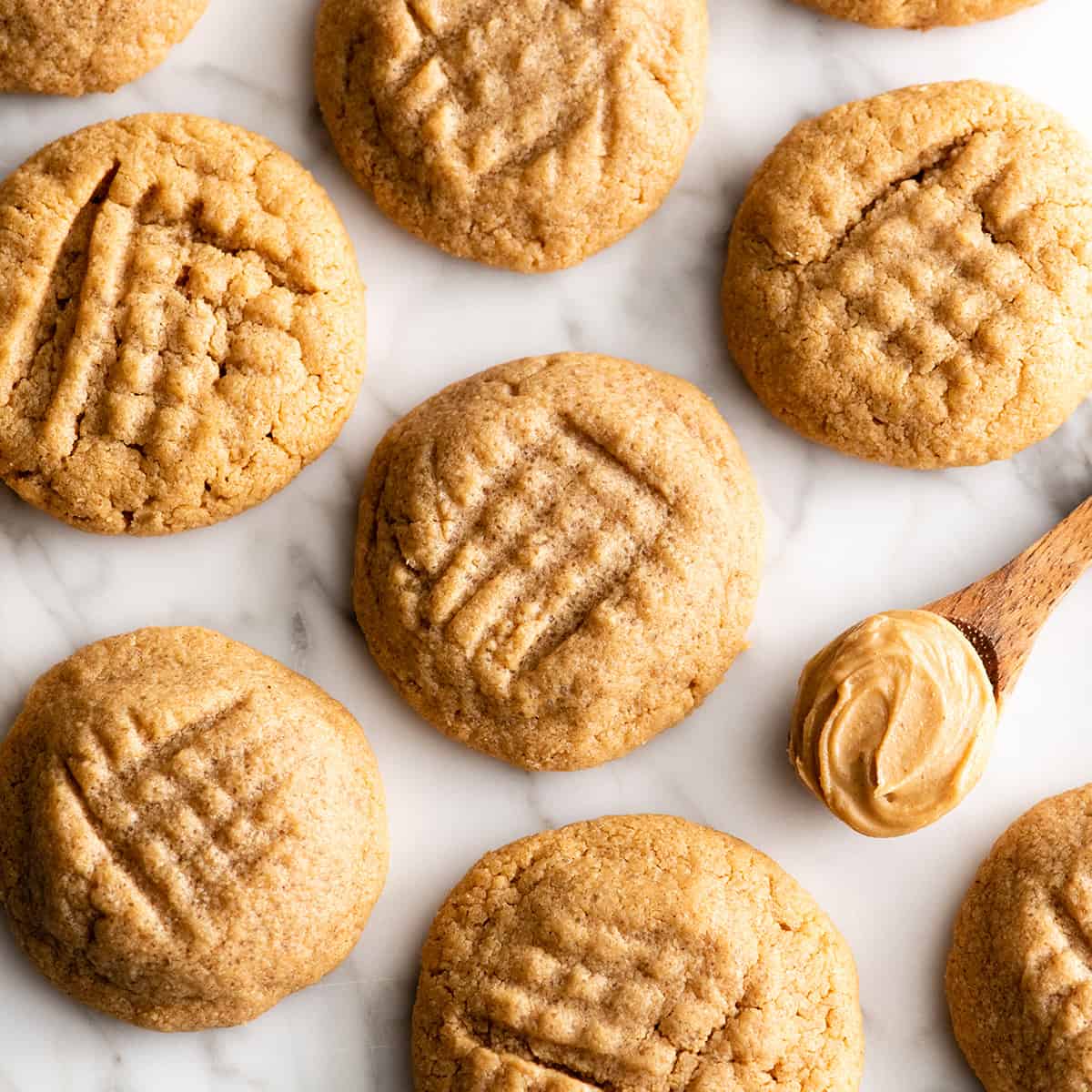 These Flourless Peanut Butter Cookies are easy to make with 4 ingredients in 15 minutes! These gluten-free peanut butter cookies are so good no one can tell they're made without flour or butter! overhead view of 6 flourless peanut butter cookies