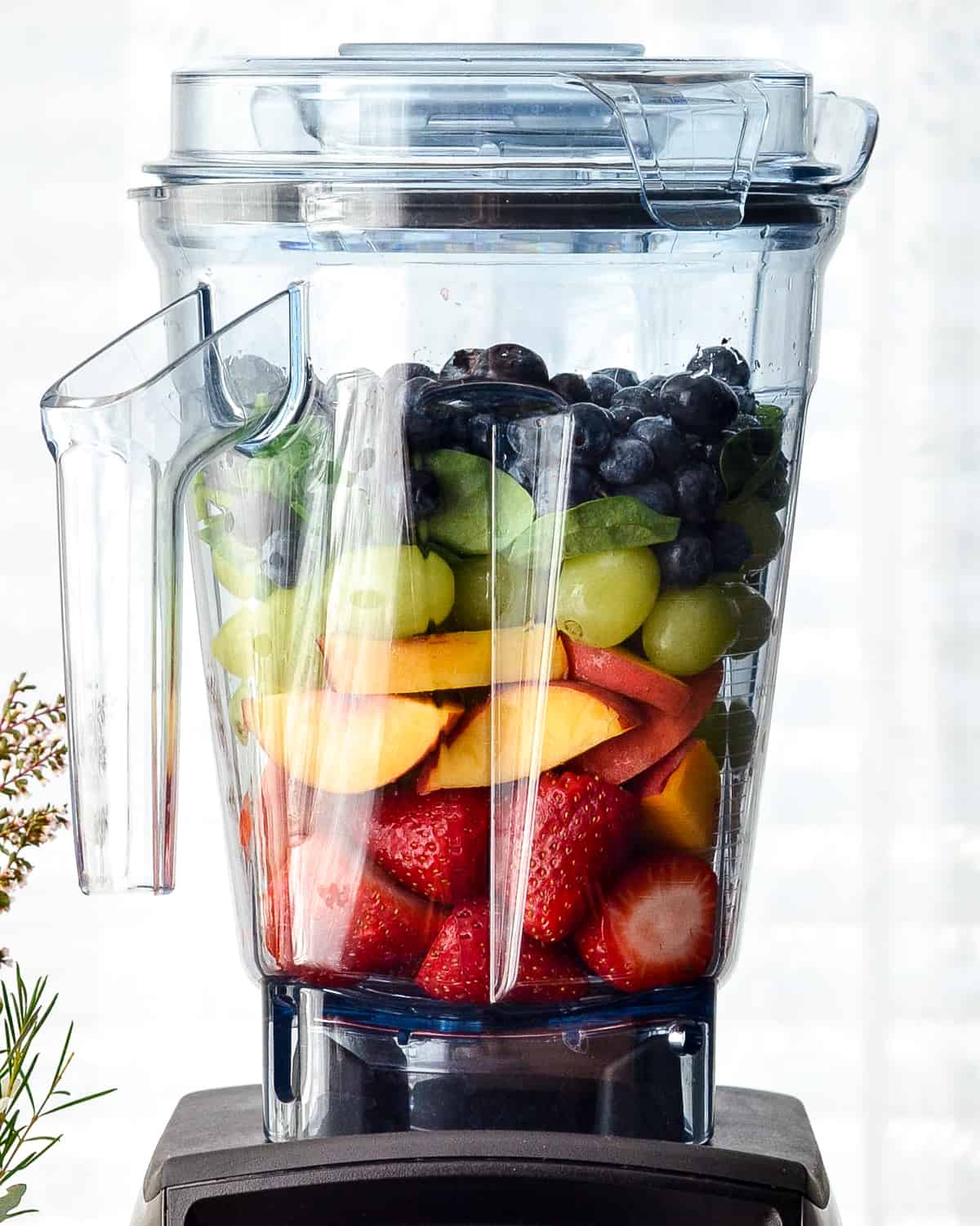 font view of a plate of Homemade Fruit Snacks recipe arranged by color in front of a vitamix blender filled with fruit