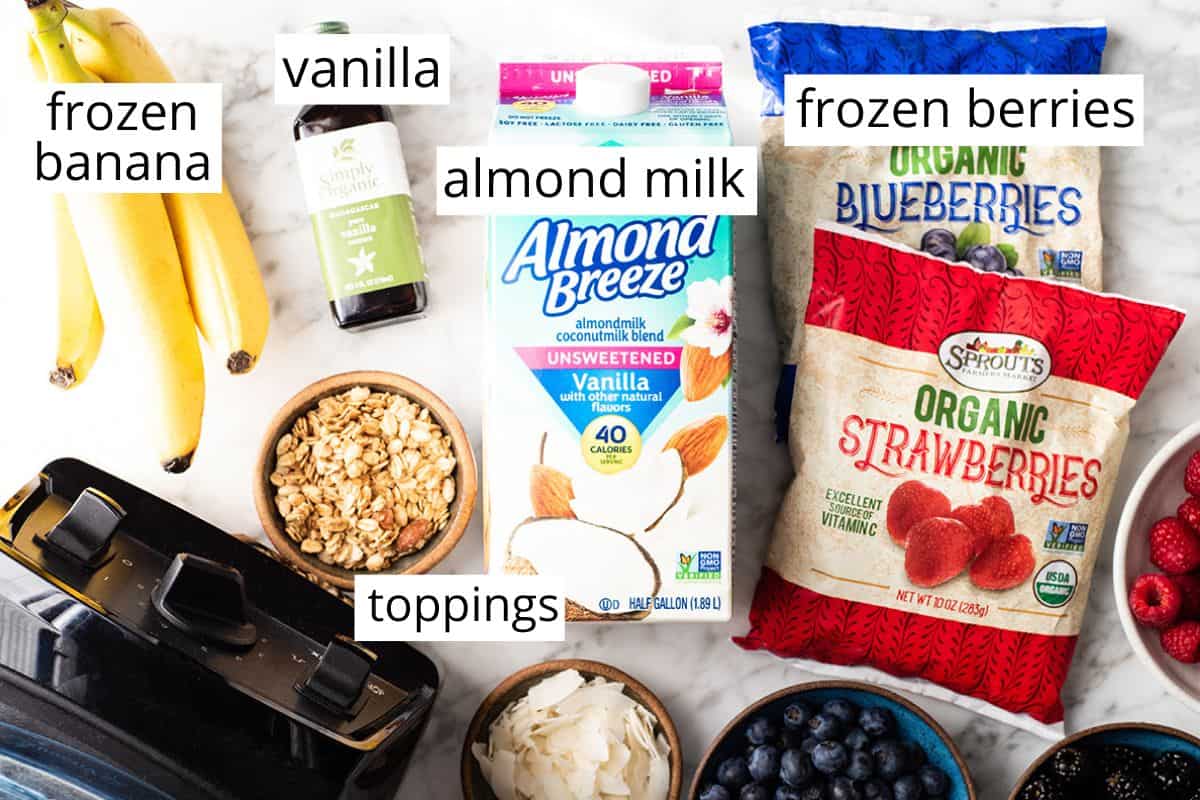 overhead view of the labeled ingredients in this smoothie bowl recipe