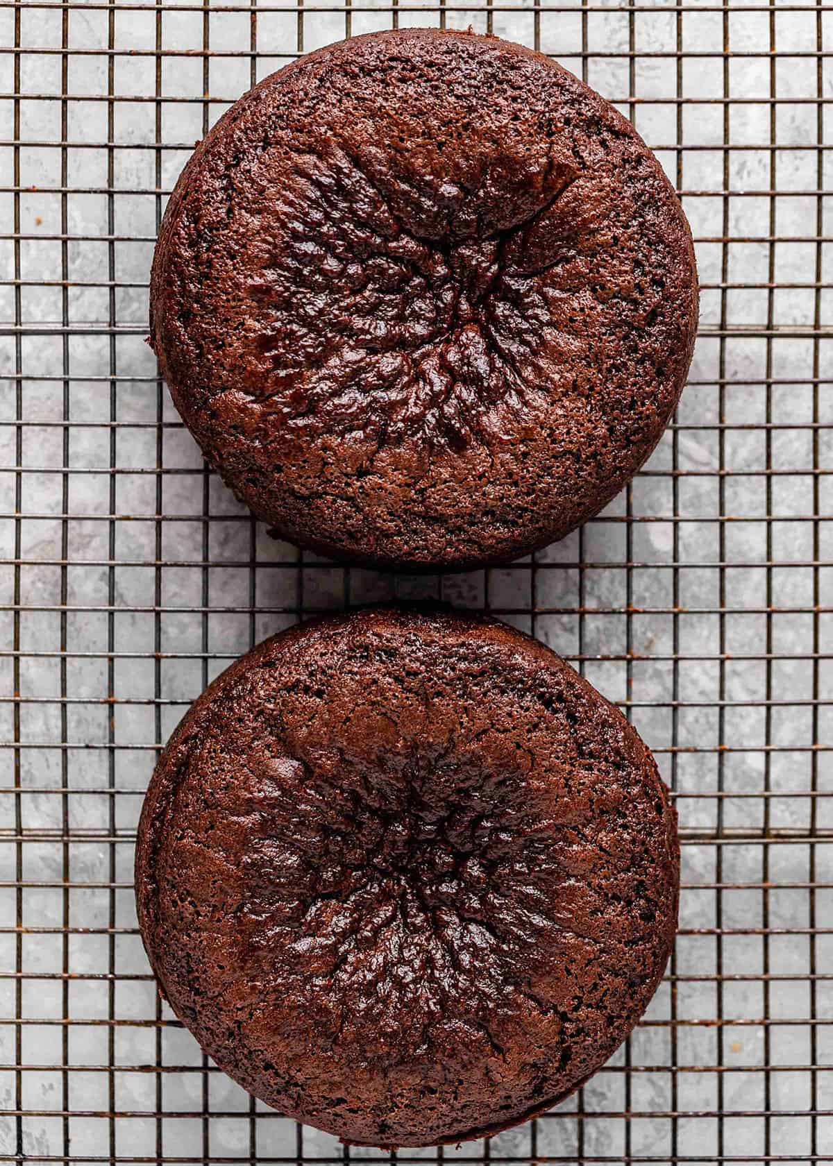 two chocolate cake layers cooling on a wire cooling rack 