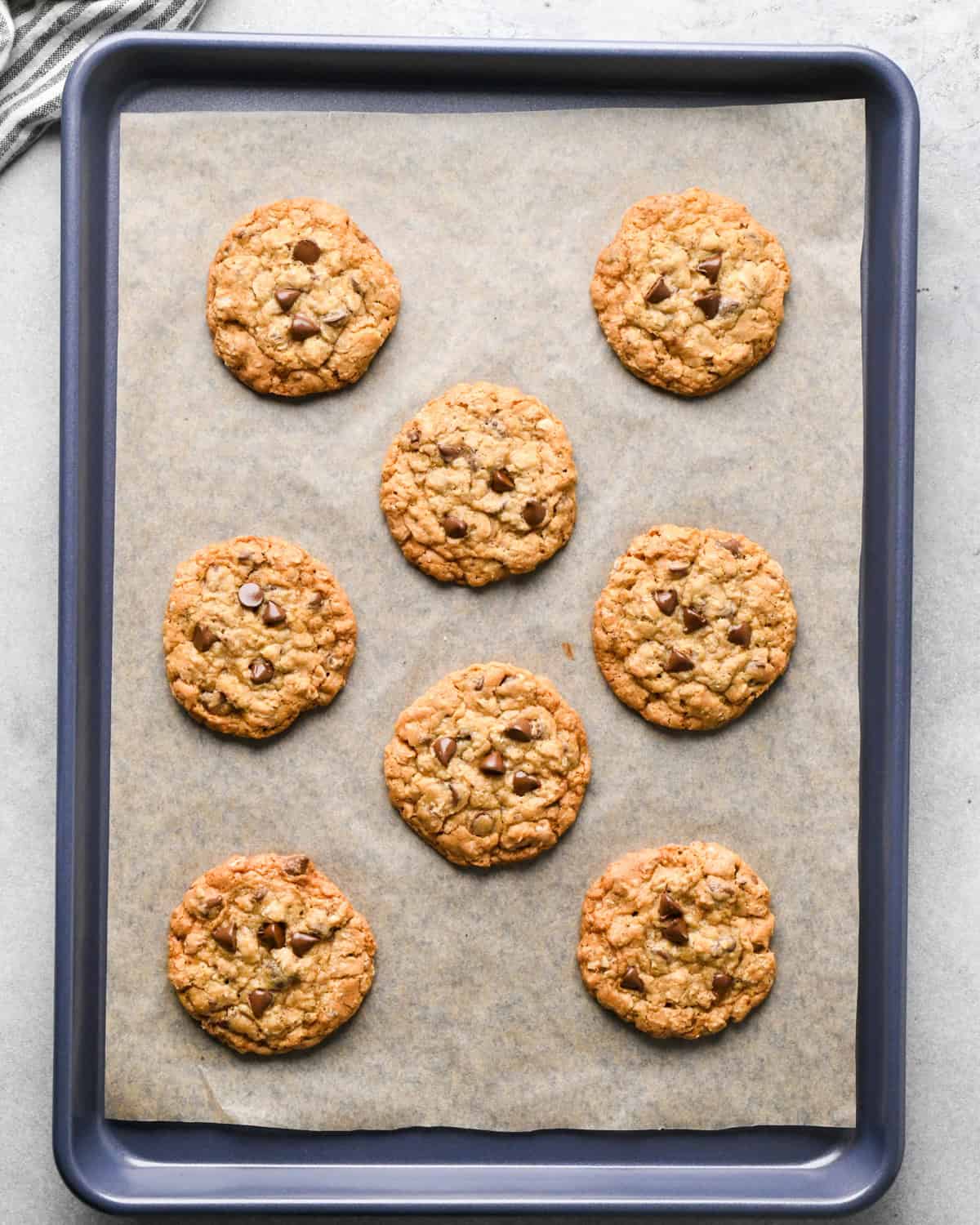 8 oatmeal chocolate chip cookies on a baking sheet lined with parchment paper after baking