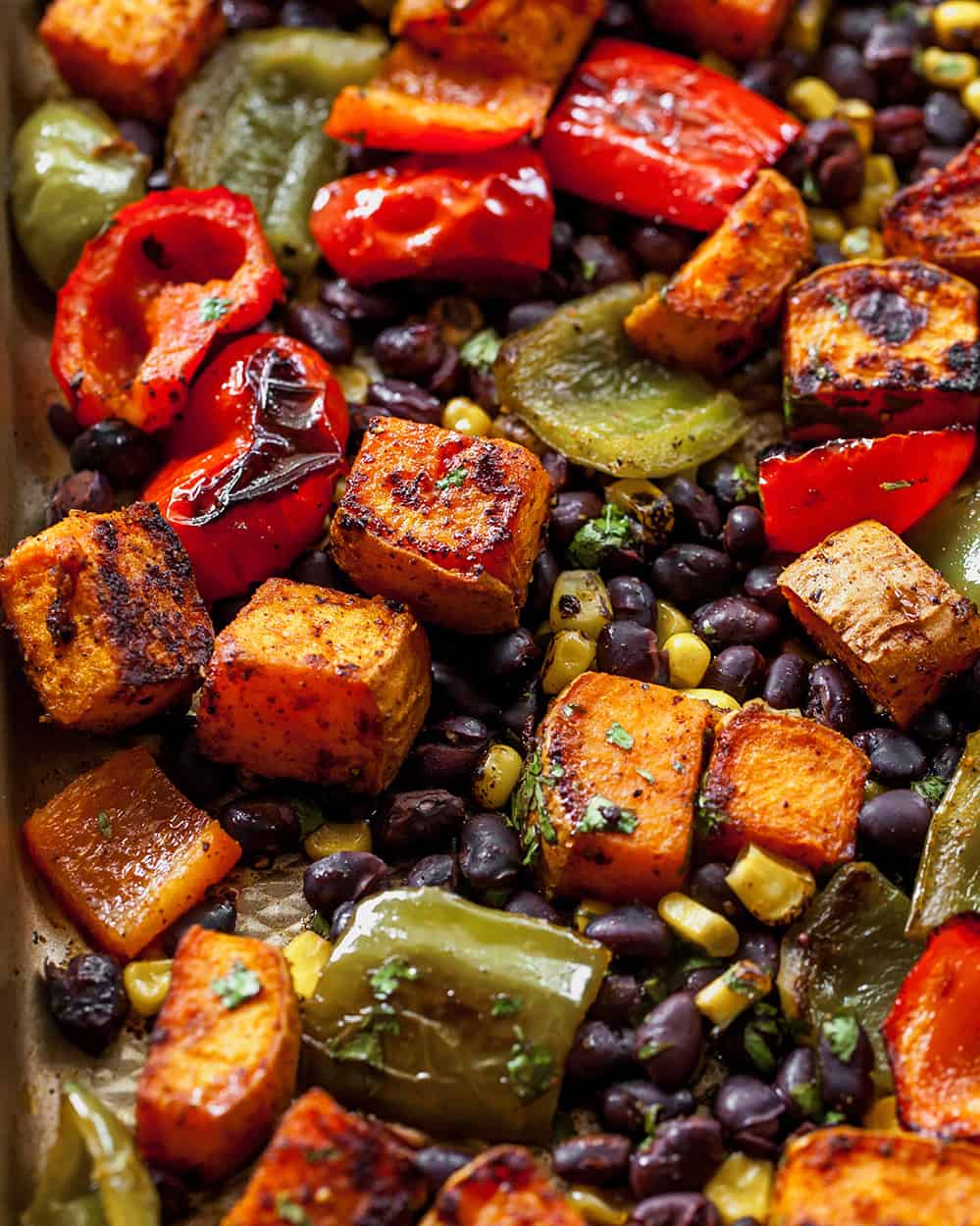 These healthy black bean sweet potato tacos are the best vegetarian tacos ever. Sweet potatoes and vegetables are perfectly spiced and roasted, then tossed with a honey, lime cilantro mixture for the most flavorful and delicious tacos. Taco night isn't complete without this sweet potato taco recipe! black bean sweet potato tacos on a baking sheet
